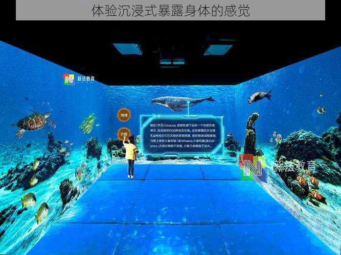 体验沉浸式暴露身体的感觉