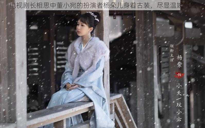电视剧长相思中董小宛的扮演者杨朵儿身着古装,尽显温婉气质