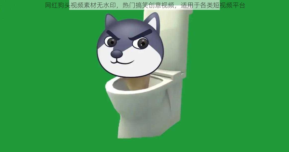网红狗头视频素材无水印,热门搞笑创意视频,适用于各类短视频平台