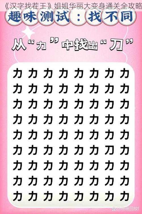 《汉字找茬王》姐姐华丽大变身通关全攻略