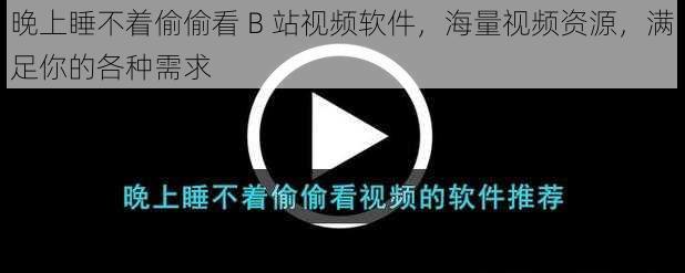 晚上睡不着偷偷看 B 站视频软件,海量视频资源,满足你的各种需求