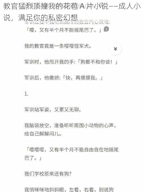 教官猛烈顶撞我的花苞 A 片小说——成人小说,满足你的私密幻想