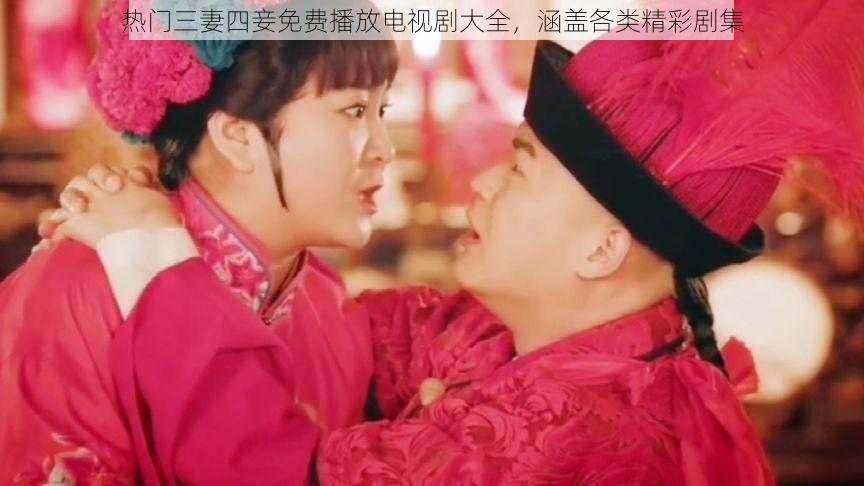 热门三妻四妾免费播放电视剧大全,涵盖各类精彩剧集
