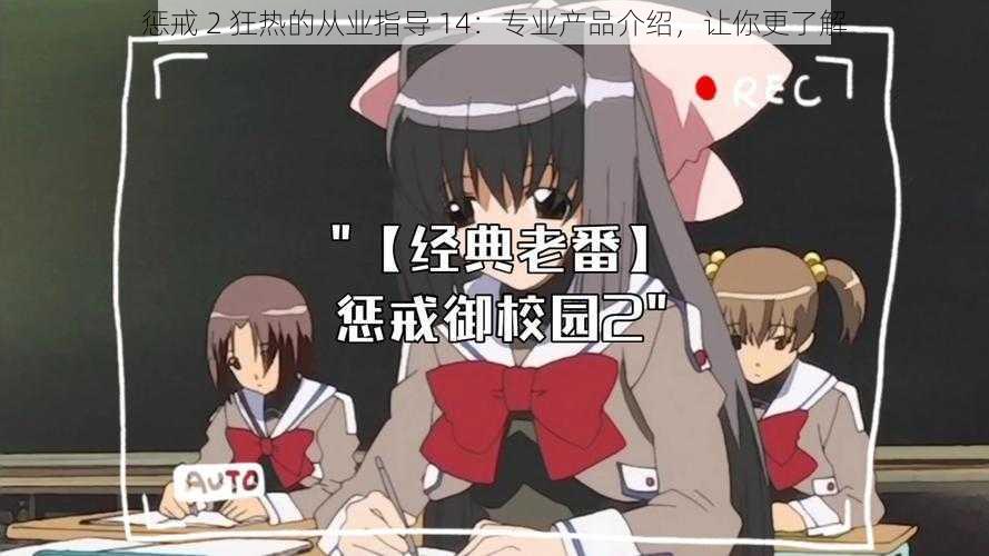 惩戒 2 狂热的从业指导 14:专业产品介绍,让你更了解