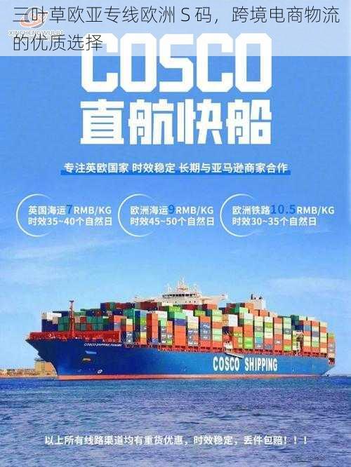 三叶草欧亚专线欧洲 S 码,跨境电商物流的优质选择