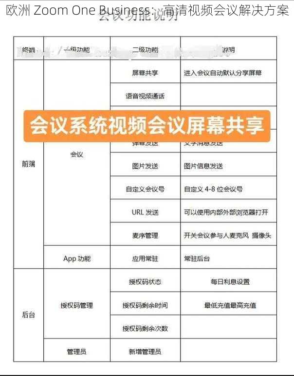 欧洲 Zoom One Business:高清视频会议解决方案