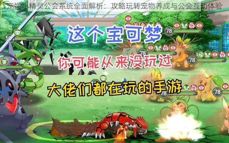 宠物小精灵公会系统全面解析:攻略玩转宠物养成与公会互动体验