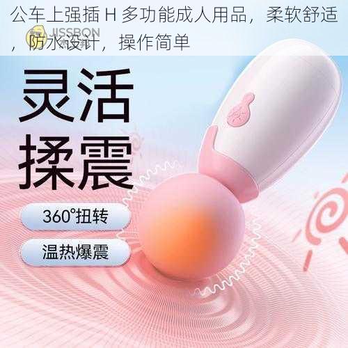 公车上强插 H 多功能成人用品,柔软舒适,防水设计,操作简单