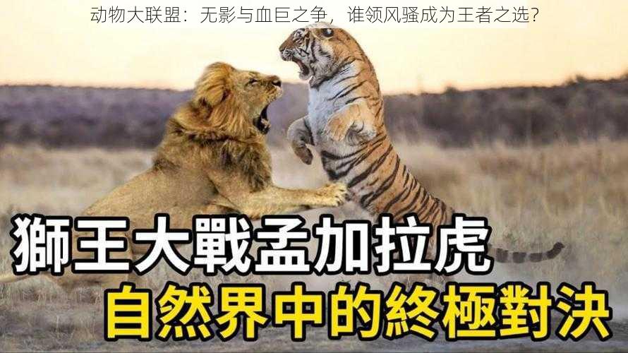 动物大联盟:无影与血巨之争,谁领风骚成为王者之选?