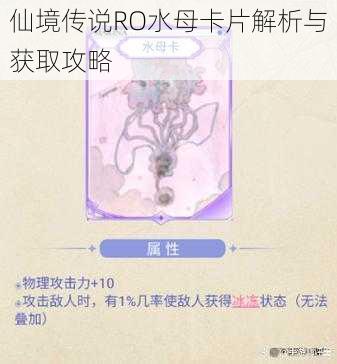 仙境传说RO水母卡片解析与获取攻略