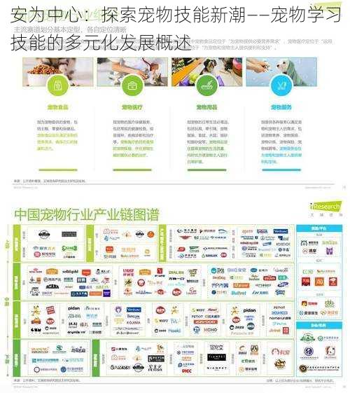 安为中心:探索宠物技能新潮——宠物学习技能的多元化发展概述