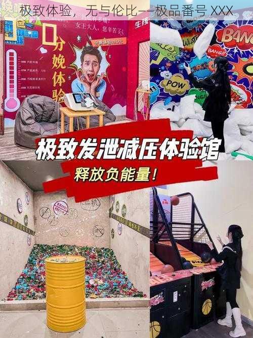 极致体验,无与伦比——极品番号 XXX