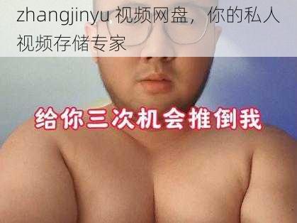 zhangjinyu 视频网盘,你的私人视频存储专家