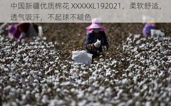 中国新疆优质棉花 XXXXXL192021,柔软舒适,透气吸汗,不起球不褪色