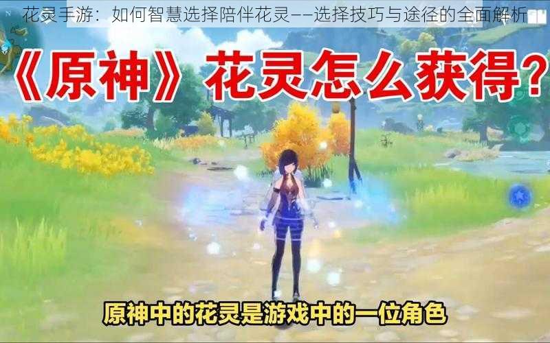 花灵手游:如何智慧选择陪伴花灵——选择技巧与途径的全面解析