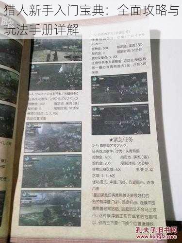 猎人新手入门宝典:全面攻略与玩法手册详解