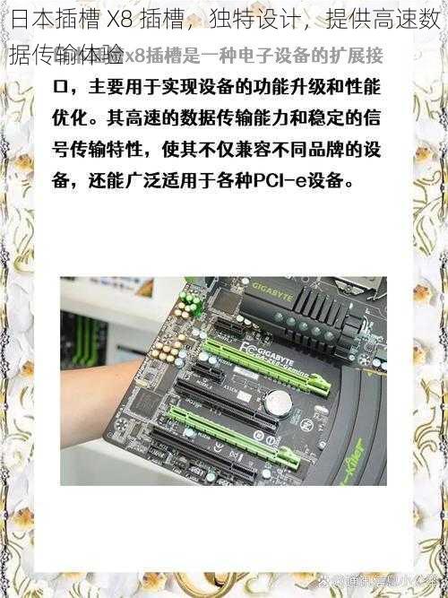 日本插槽 X8 插槽,独特设计,提供高速数据传输体验