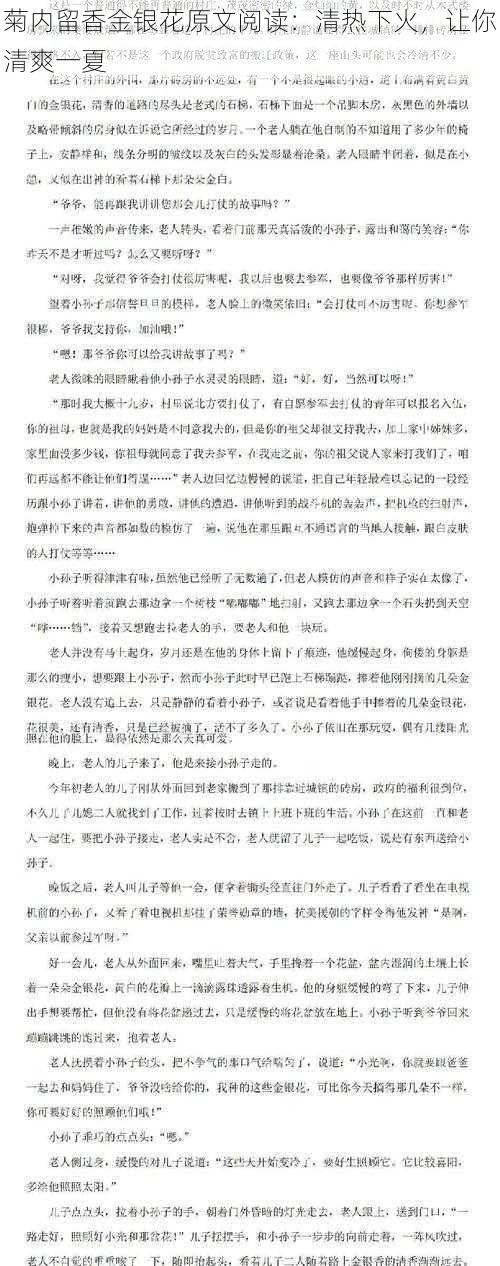 菊内留香金银花原文阅读:清热下火,让你清爽一夏