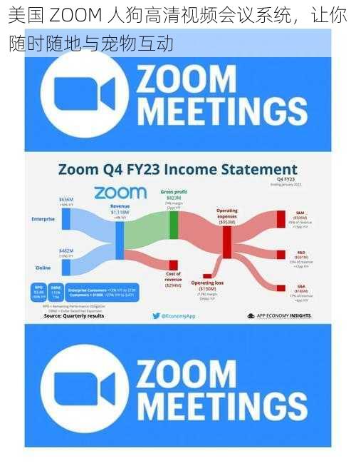 美国 ZOOM 人狗高清视频会议系统,让你随时随地与宠物互动