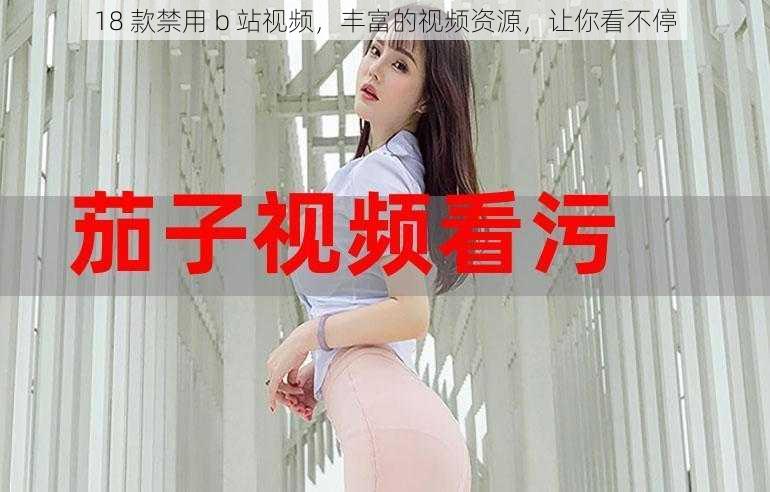 18 款禁用 b 站视频,丰富的视频资源,让你看不停