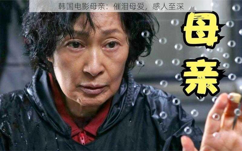 韩国电影母亲:催泪母爱,感人至深