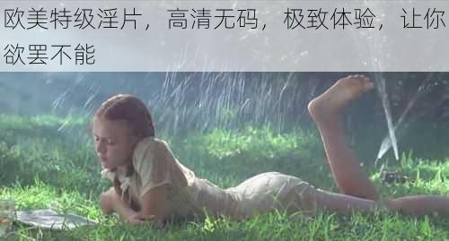 欧美特级淫片,高清无码,极致体验,让你欲罢不能