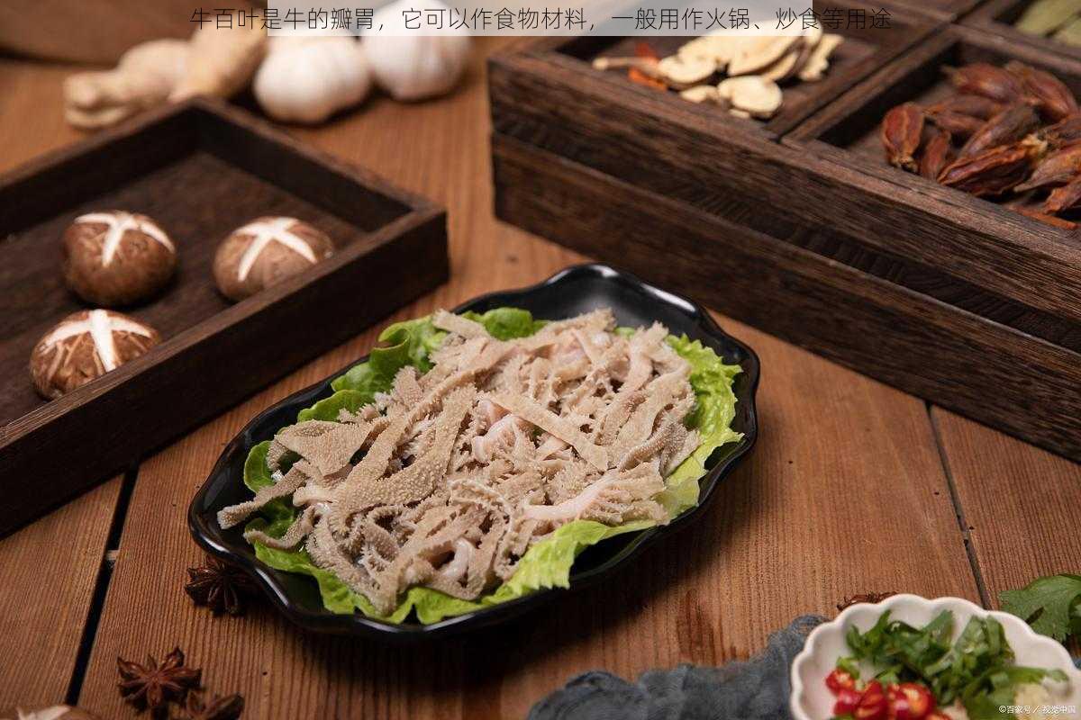 牛百叶是牛的瓣胃,它可以作食物材料,一般用作火锅、炒食等用途