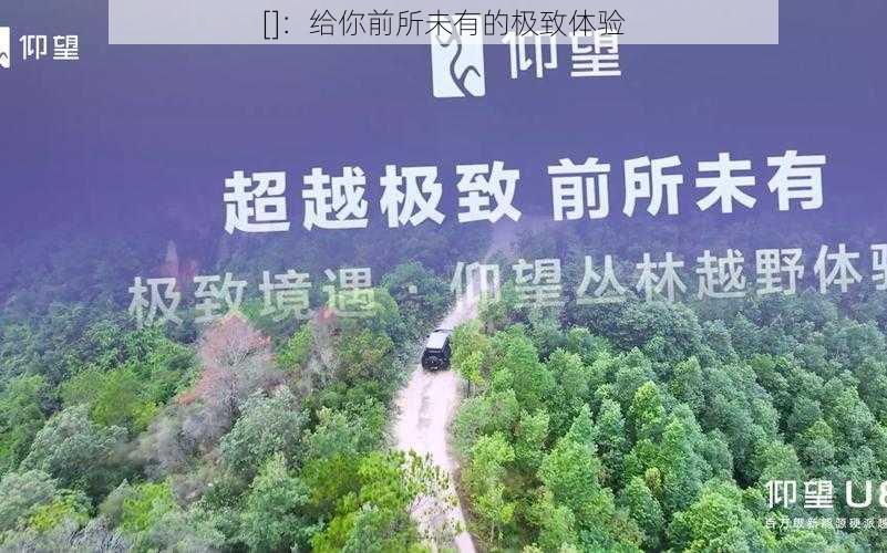 []：给你前所未有的极致体验