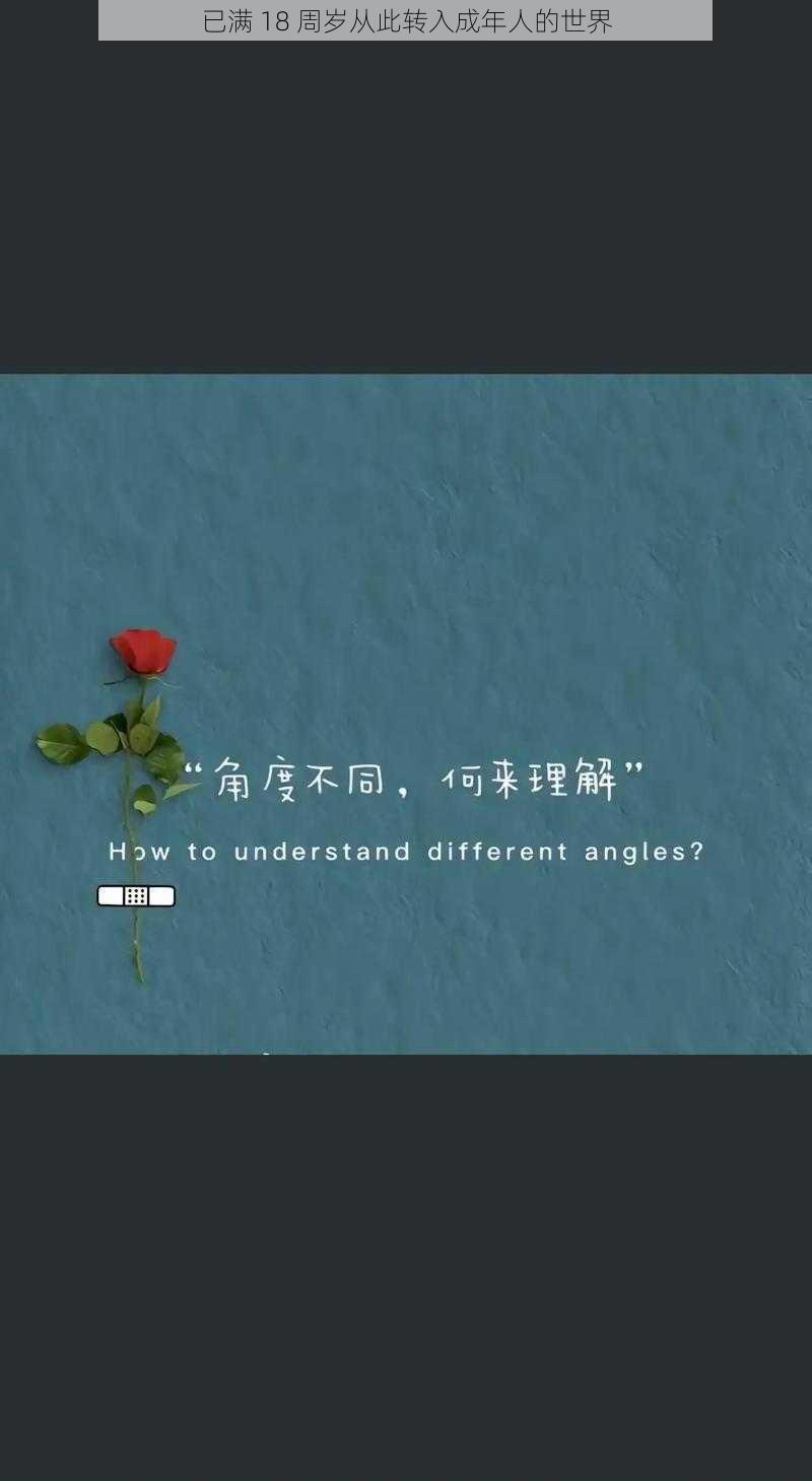 已满 18 周岁从此转入成年人的世界