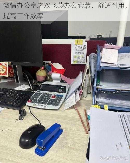 激情办公室之双飞燕办公套装,舒适耐用,提高工作效率