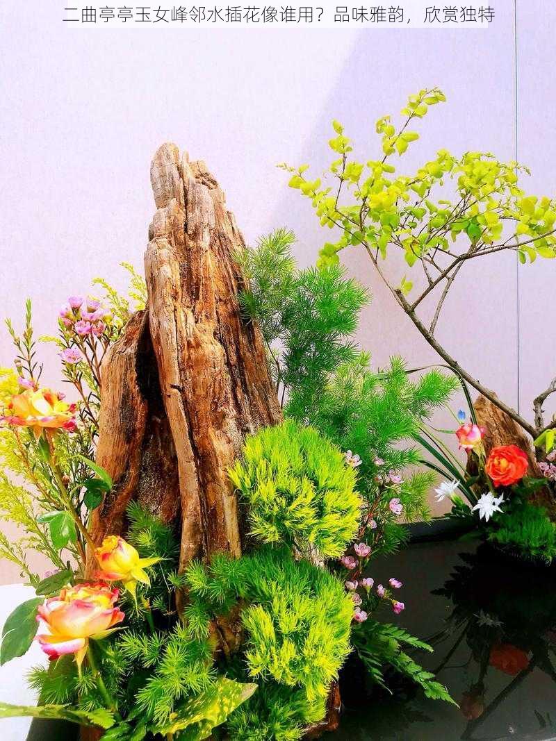 二曲亭亭玉女峰邻水插花像谁用?品味雅韵,欣赏独特