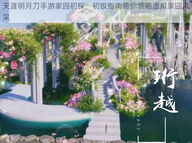 天涯明月刀手游家园初探:初级指南带你领略虚拟家园风采