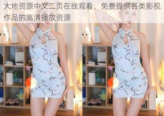大地资源中文二页在线观看,免费提供各类影视作品的高清播放资源