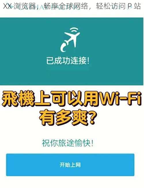 XX 浏览器,畅享全球网络,轻松访问 P 站