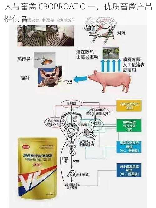 人与畜禽 CROPROATIO 一,优质畜禽产品提供者