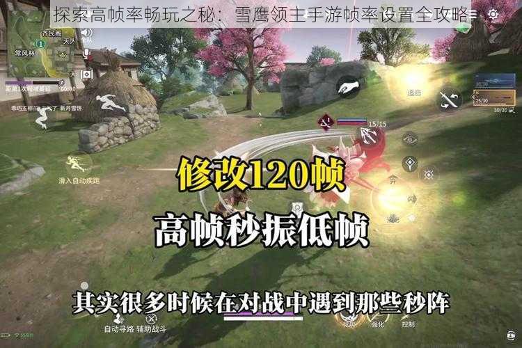 探索高帧率畅玩之秘:雪鹰领主手游帧率设置全攻略