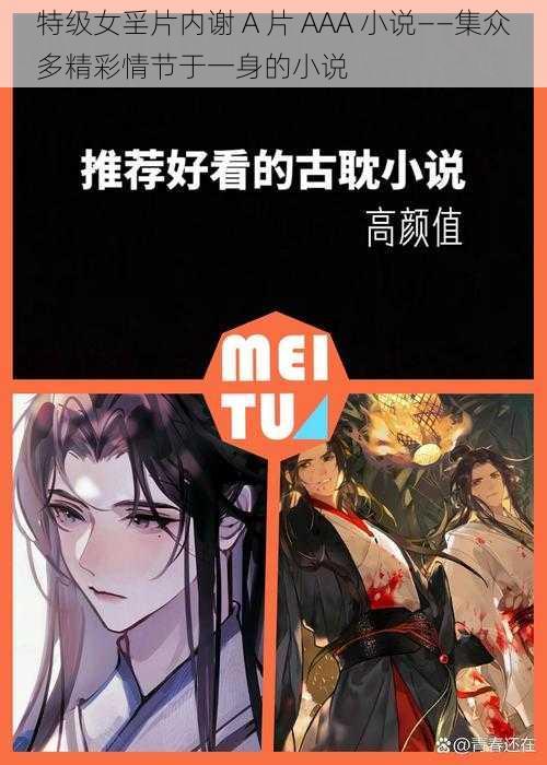 特级女㸒片内谢 A 片 AAA 小说——集众多精彩情节于一身的小说