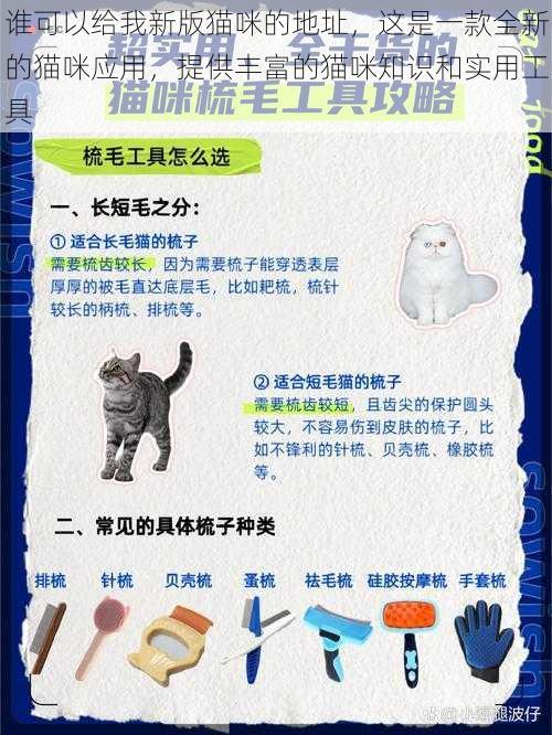 谁可以给我新版猫咪的地址,这是一款全新的猫咪应用,提供丰富的猫咪知识和实用工具