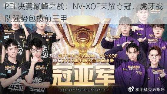 PEL决赛巅峰之战:NV-XQF荣耀夺冠,虎牙战队强势包揽前三甲