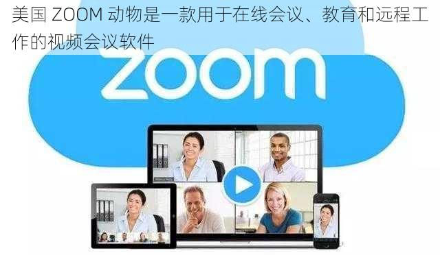 美国 ZOOM 动物是一款用于在线会议、教育和远程工作的视频会议软件
