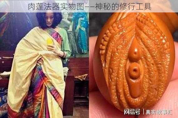肉莲法器实物图——神秘的修行工具