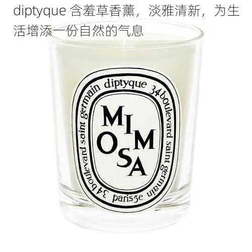 diptyque 含羞草香薰,淡雅清新,为生活增添一份自然的气息