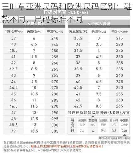 三叶草亚洲尺码和欧洲尺码区别:鞋款不同,尺码标准不同