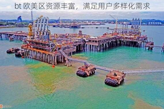 bt 欧美区资源丰富,满足用户多样化需求
