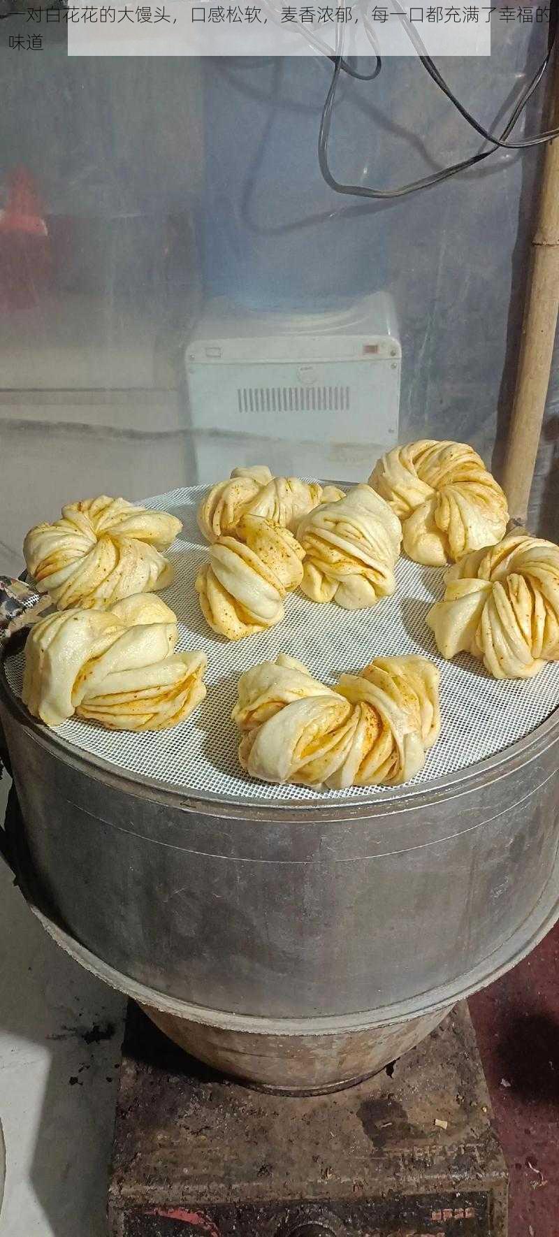 一对白花花的大馒头,口感松软,麦香浓郁,每一口都充满了幸福的味道