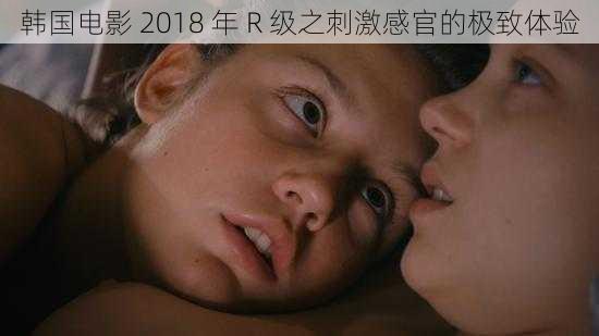 韩国电影 2018 年 R 级之刺激感官的极致体验