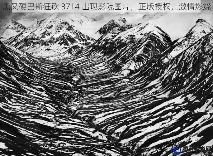 黑又硬巴斯狂砍 3714 出现影院图片,正版授权,激情燃烧