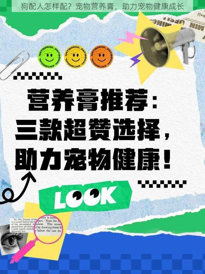 狗配人怎样配?宠物营养膏,助力宠物健康成长