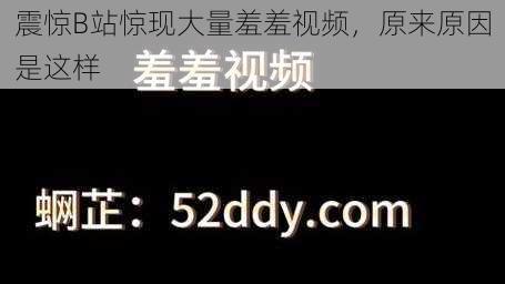 震惊B站惊现大量羞羞视频,原来原因是这样