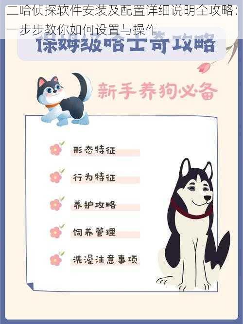 二哈侦探软件安装及配置详细说明全攻略:一步步教你如何设置与操作